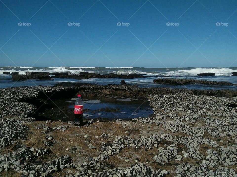 Cocacola between the splendid nature near the sea at essaouira city in Morocco