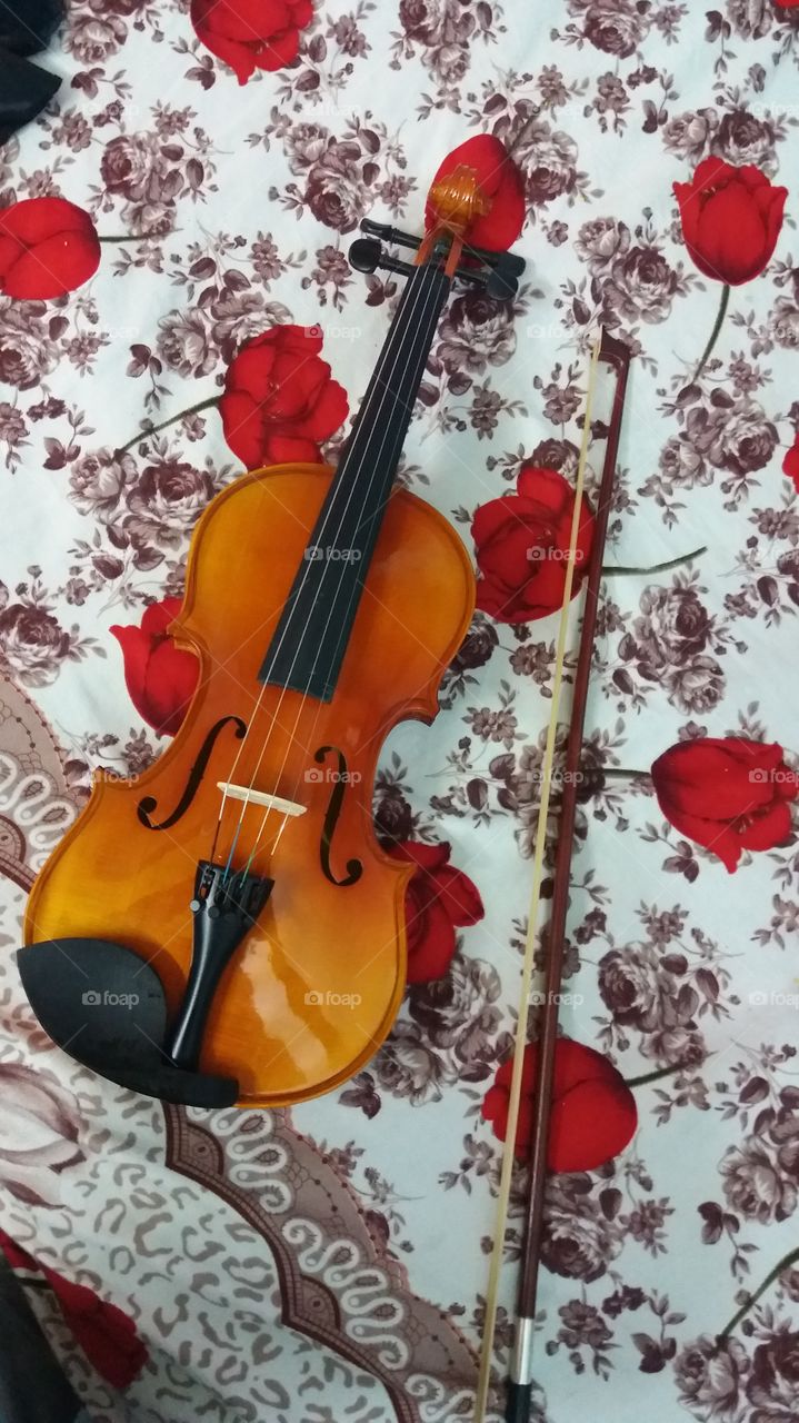 Violin, Artistic, Classic, Art, Cello
