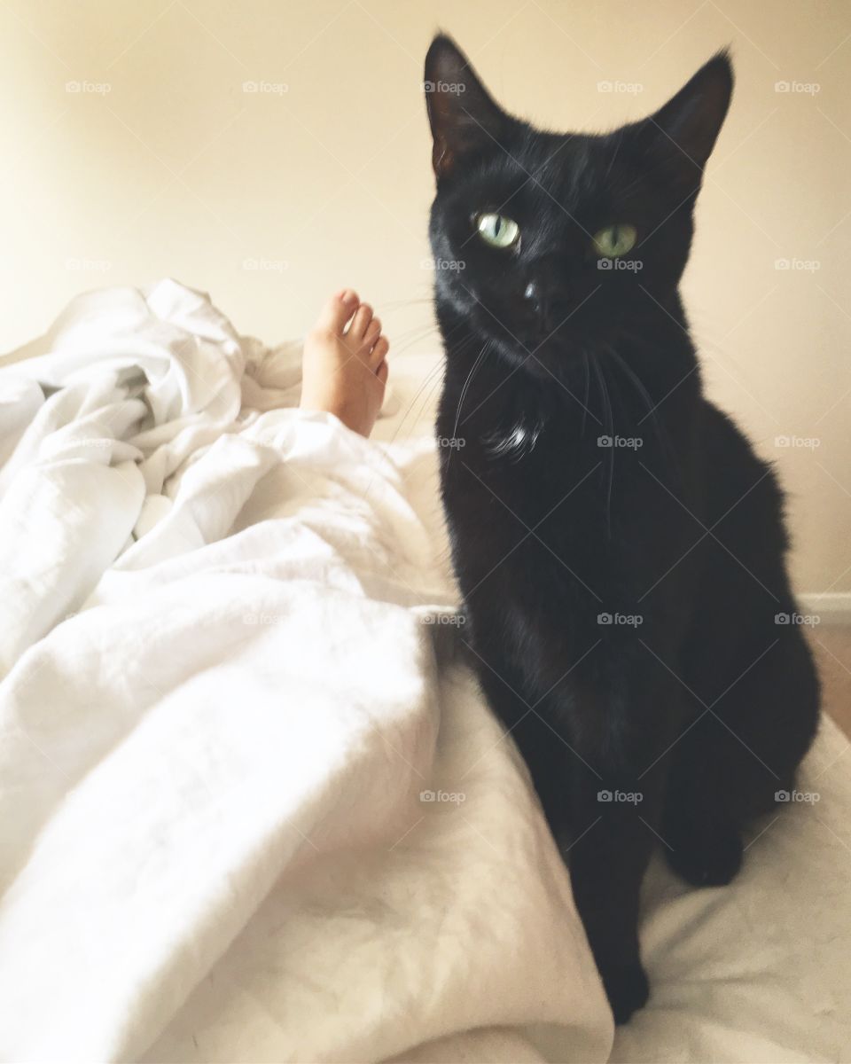 Small black cat with green eyes on a lazy morning in bed showing a foot peeking out from under the duvet