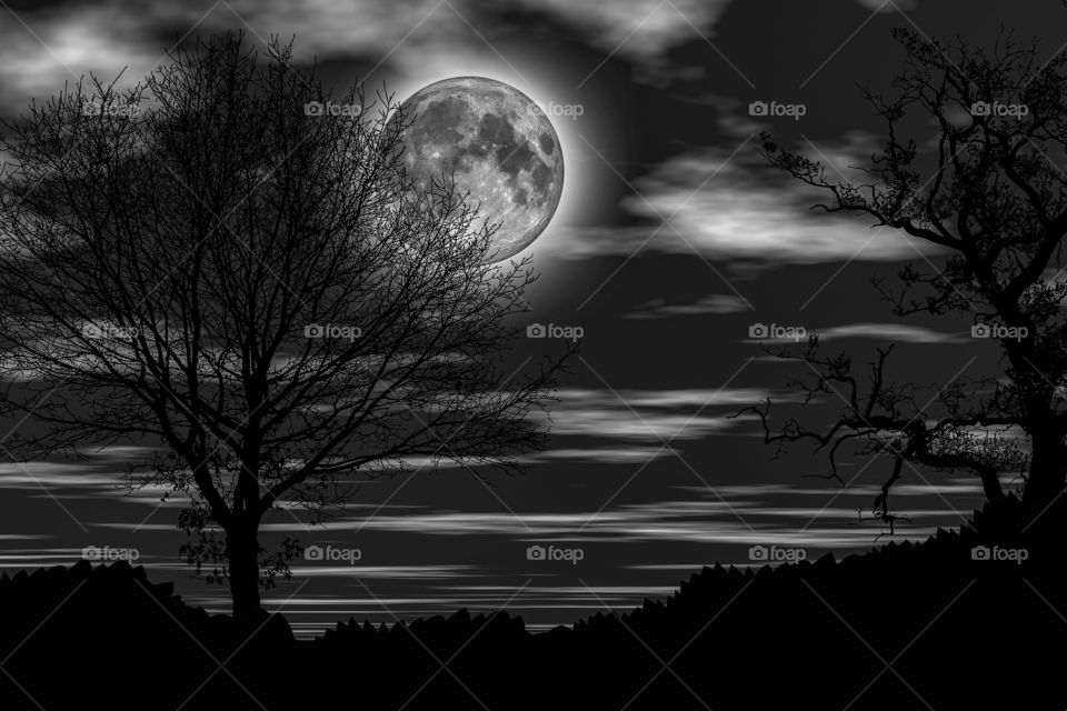 Nachthimmel mit Mond (schwarz, weiß)