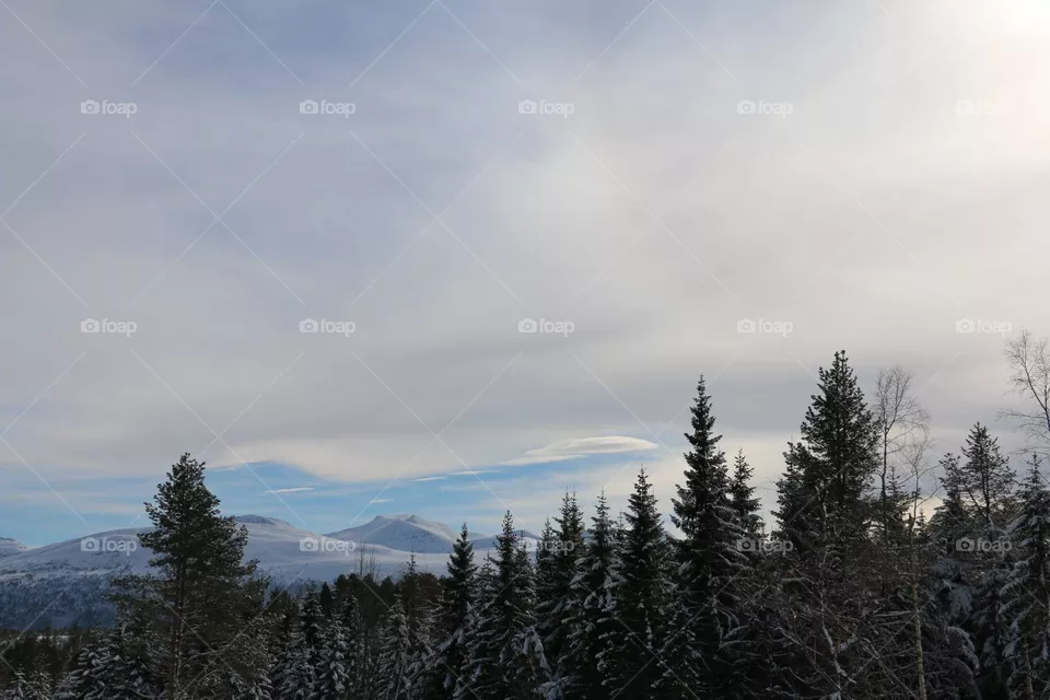 Norway 
