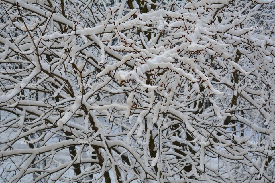 Frost, Desktop, Winter, Pattern, Texture