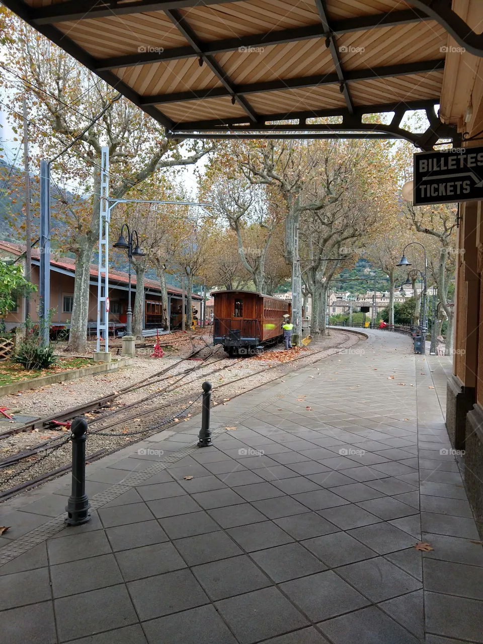 Train