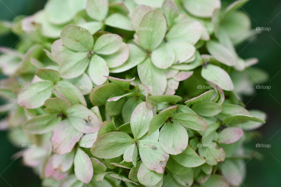 Walk outside, and enjoy the beautiful day! 