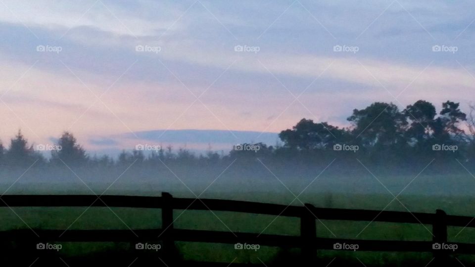 Evening fog in the country
