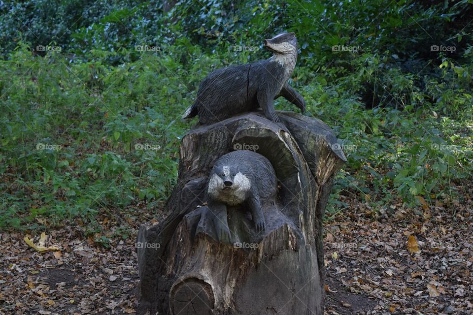 Carved tree sculpture of badgers