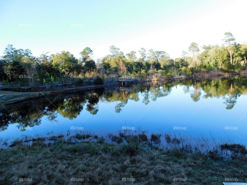 Incredible reflections 