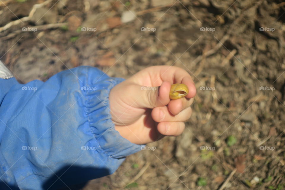 The small wonders of nature