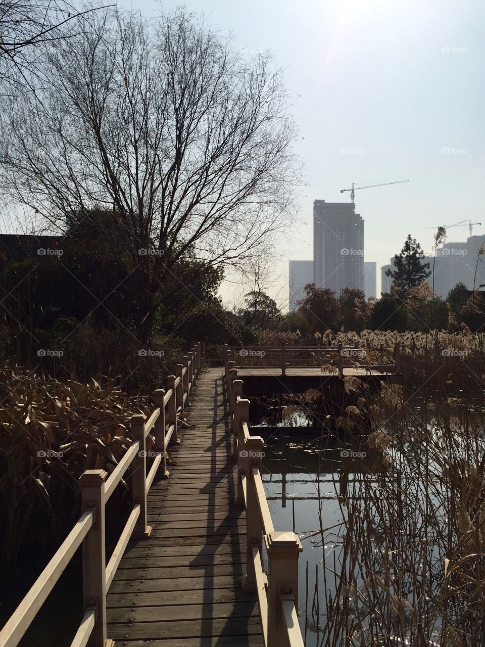 A bridge on a lake in the park in the city in autumn