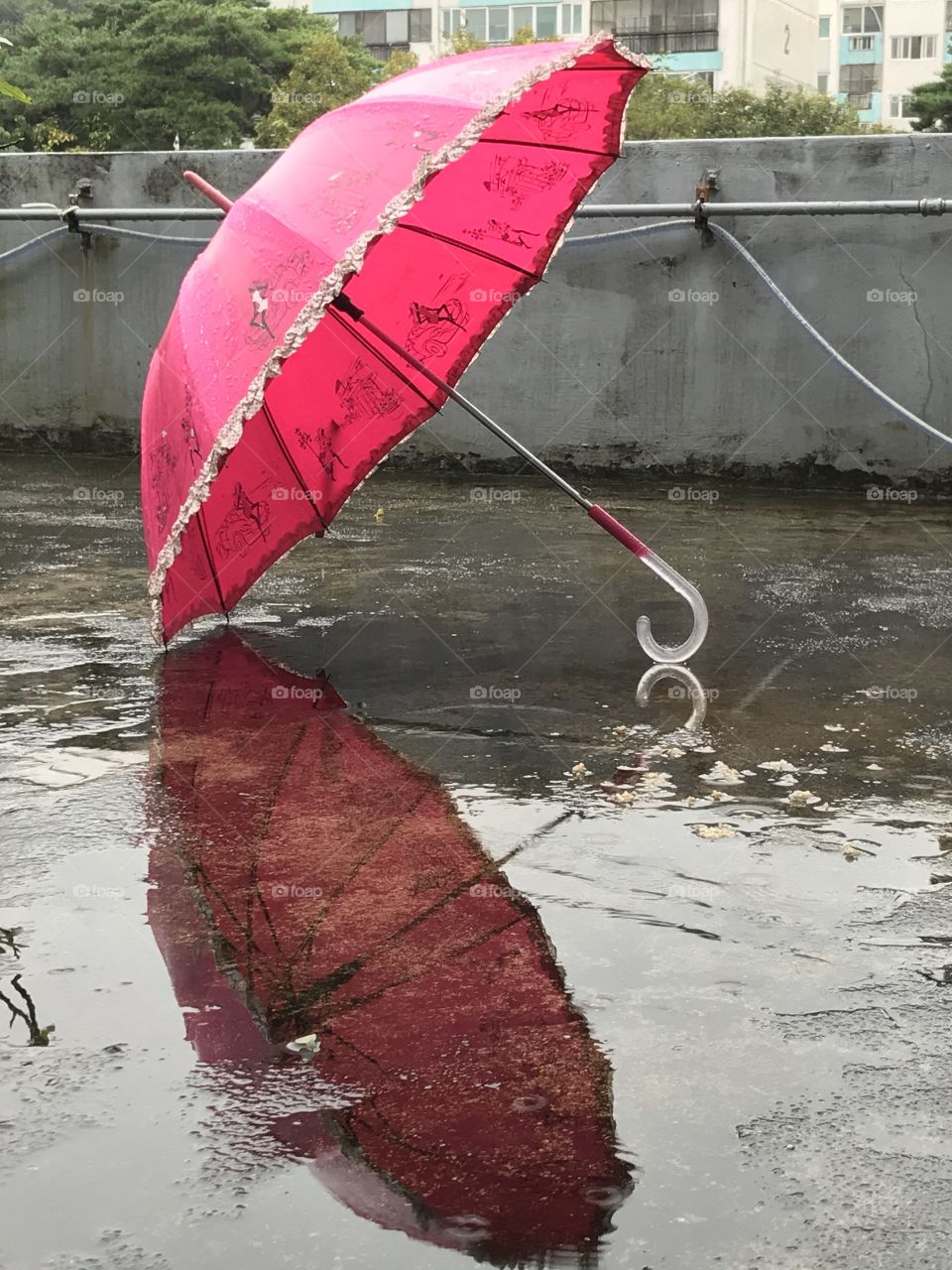 Pink umbrella under the rain