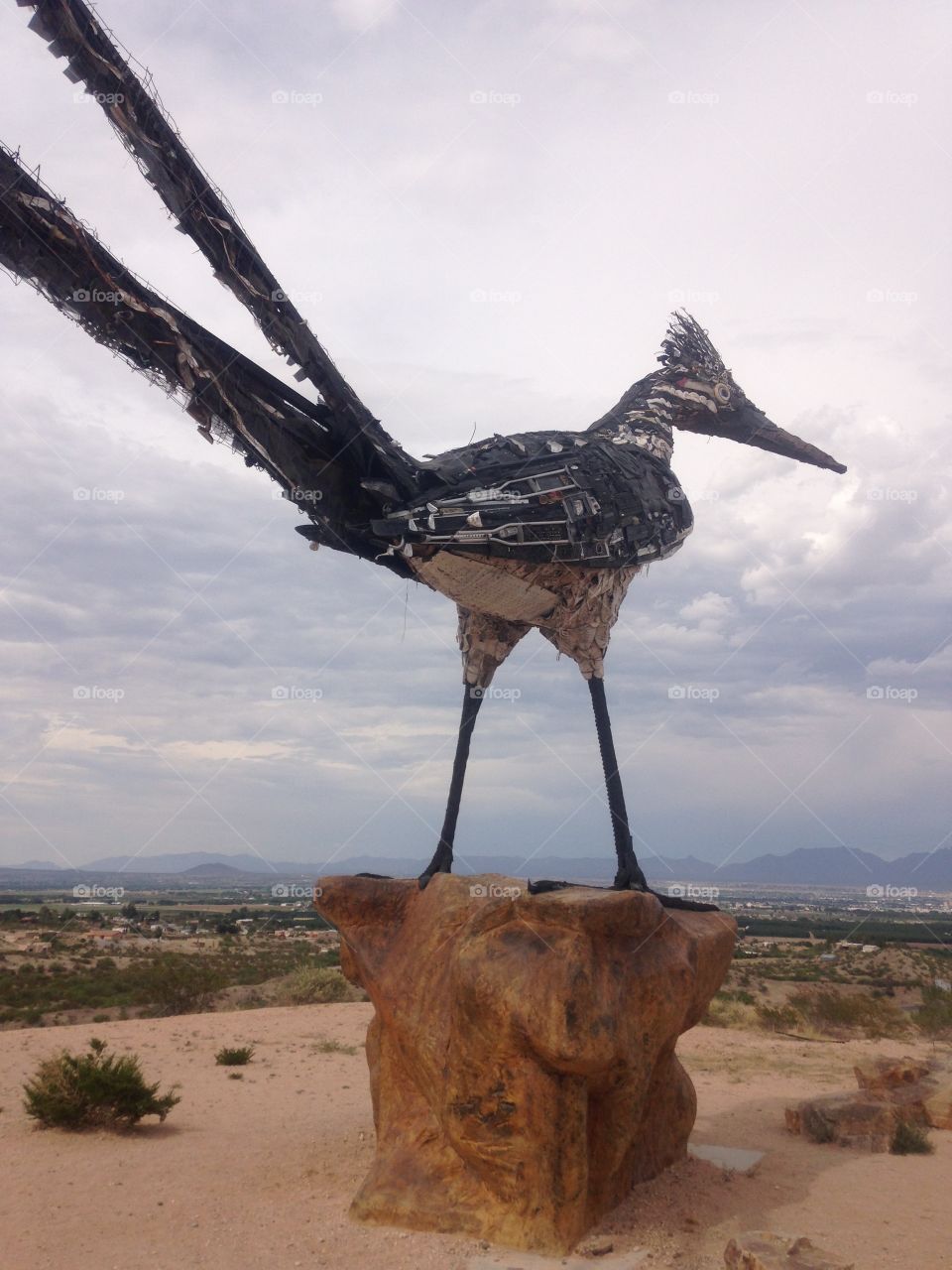 Recycled Roadrunner. On the outskirts of Las Cruces this sit on the side of the highway. It is made out of recycled materials. 