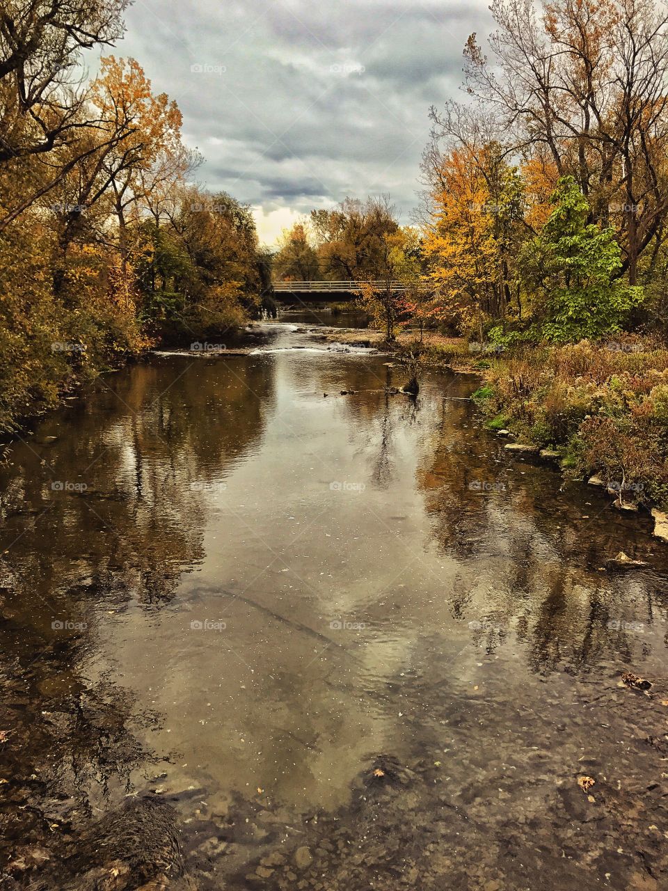Creek with fall colors