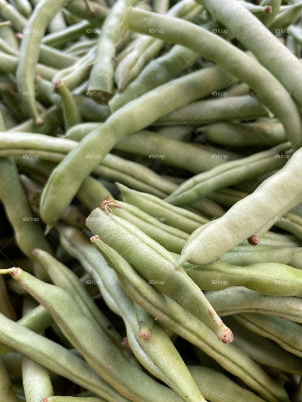 Baguio beans (green beans)