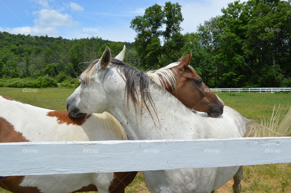 Scratch my back and I'll scratch yours
