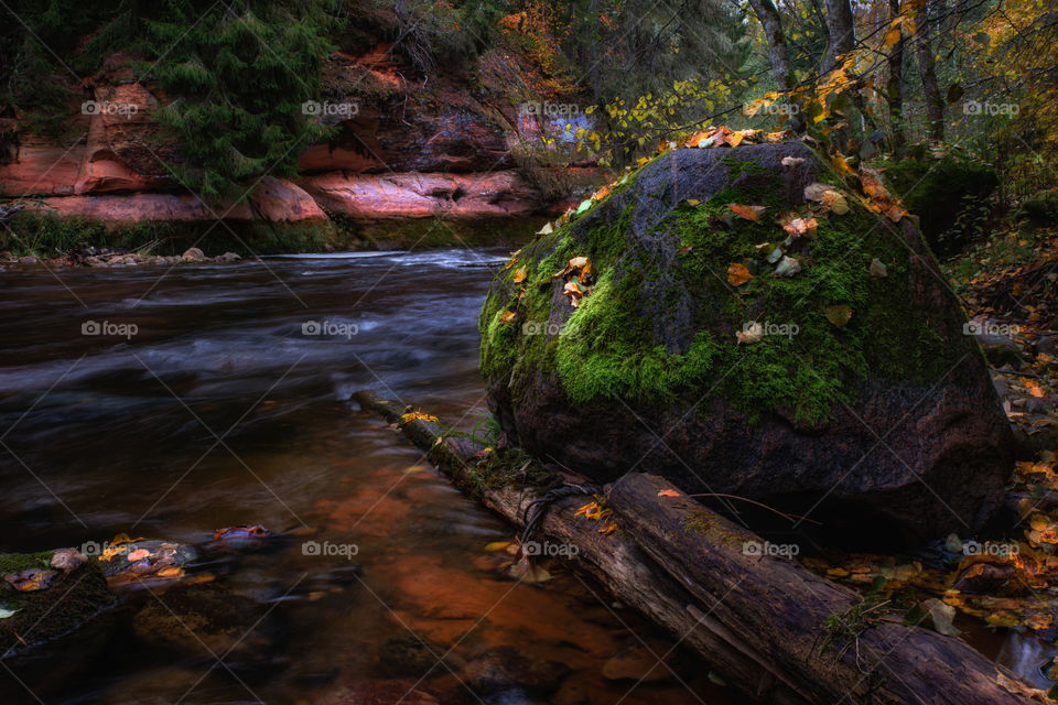 Autumn. Stream. Long exposure.