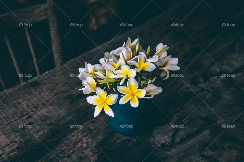 wonderful ... image🖼️
   Beautiful Flower🌼 Leaf🍁