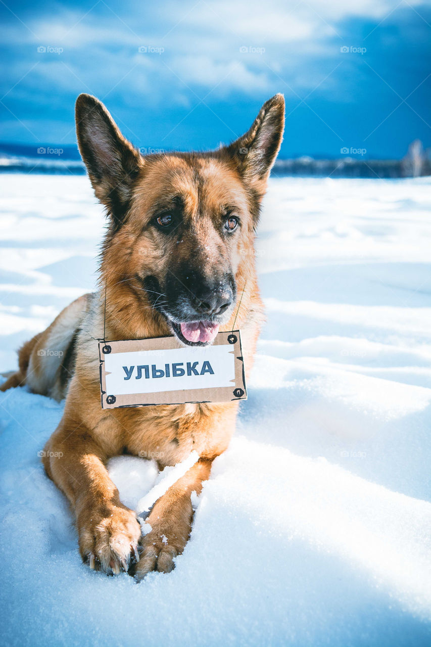 a name on the table is Smile written in russian