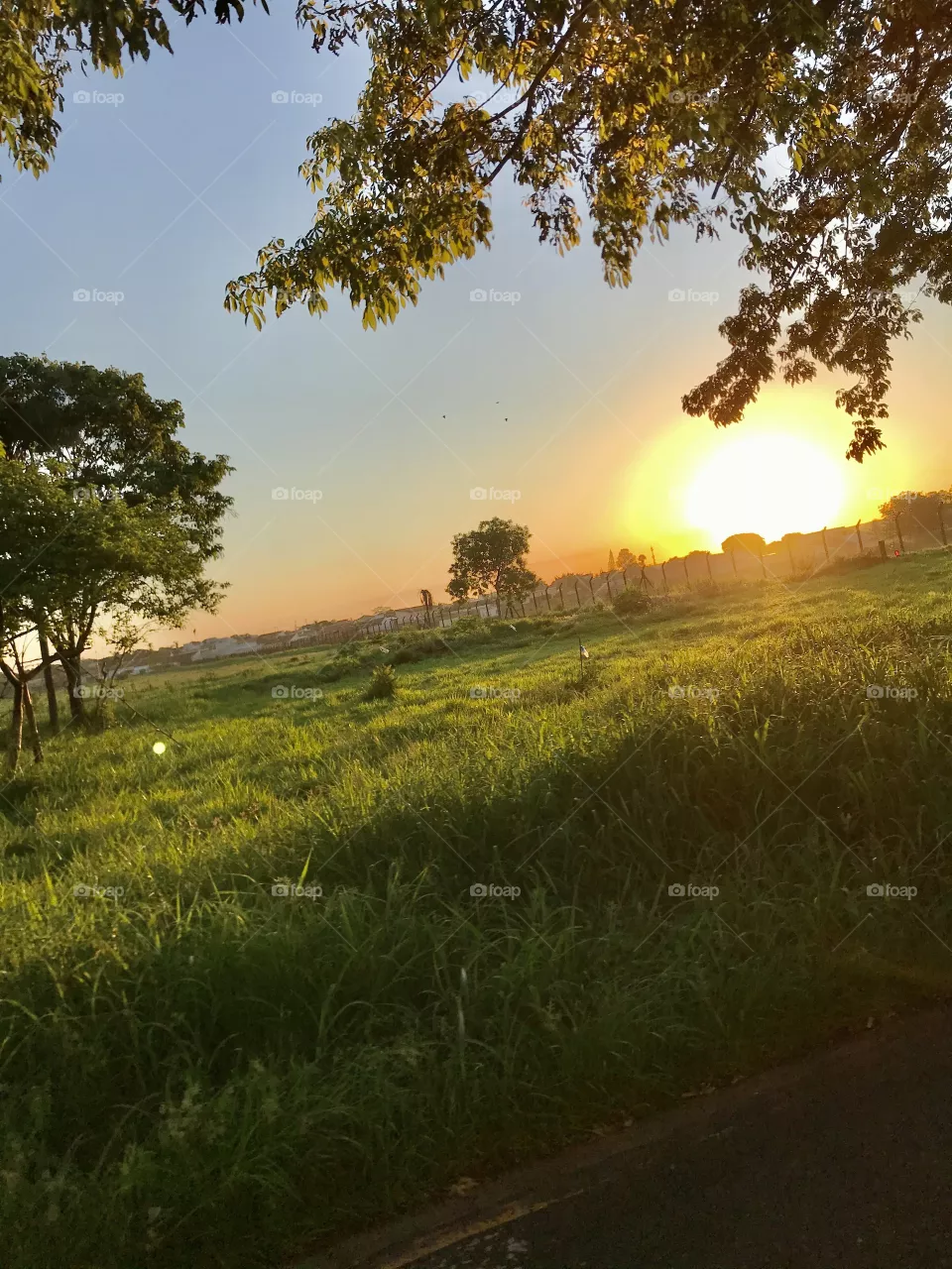Sunset 🌅