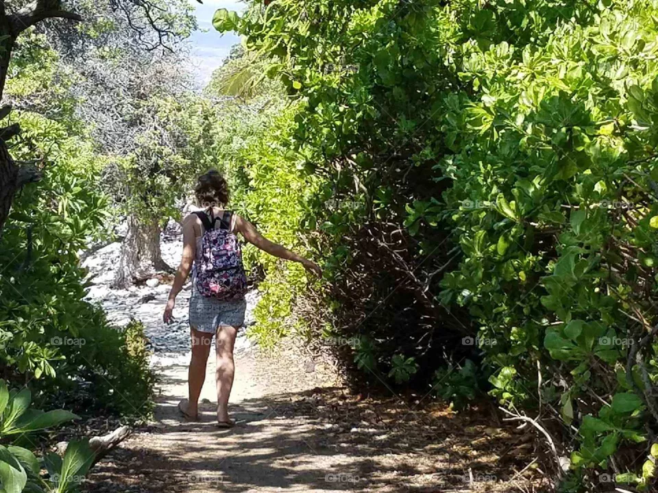 Hawaii