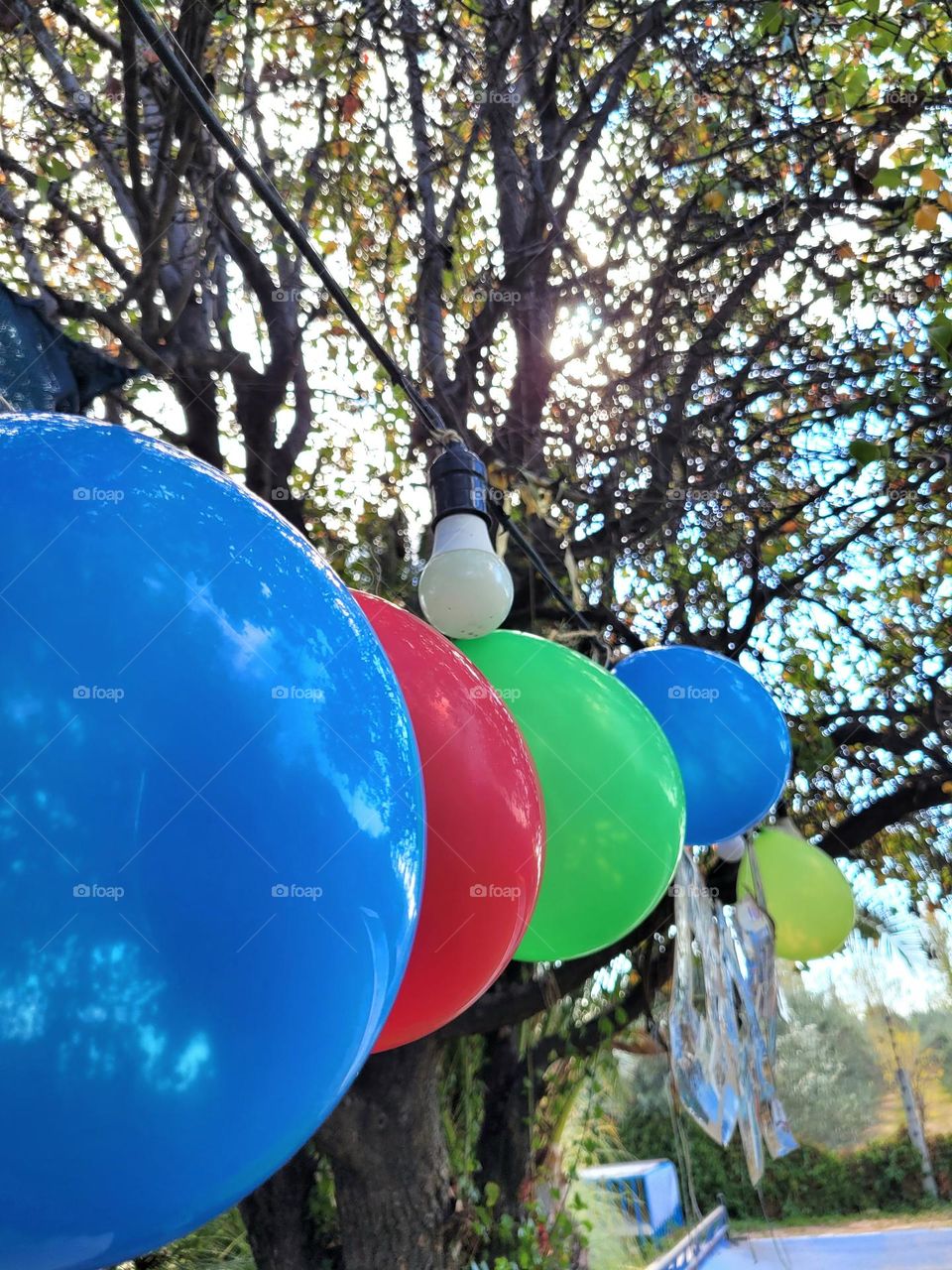 complementary colors