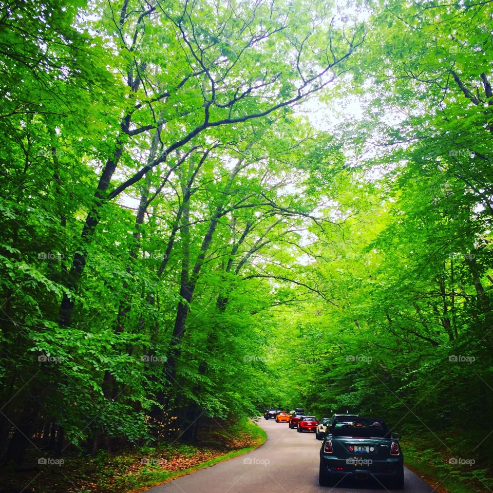 Mini Run, New Hampshire