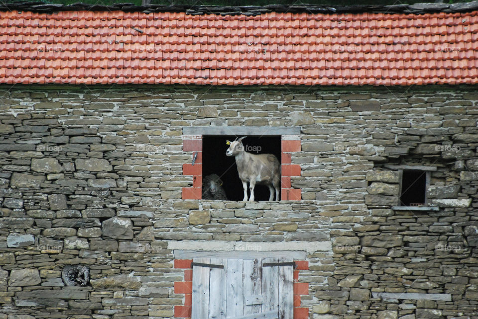 Strange view at the window - Borgo Val di Taro, Parma, Italy.