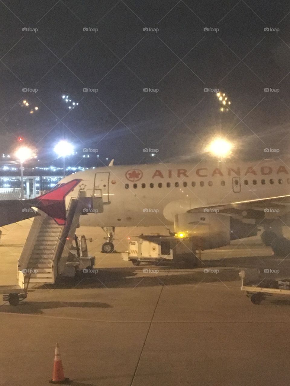 Ready to board the plane 