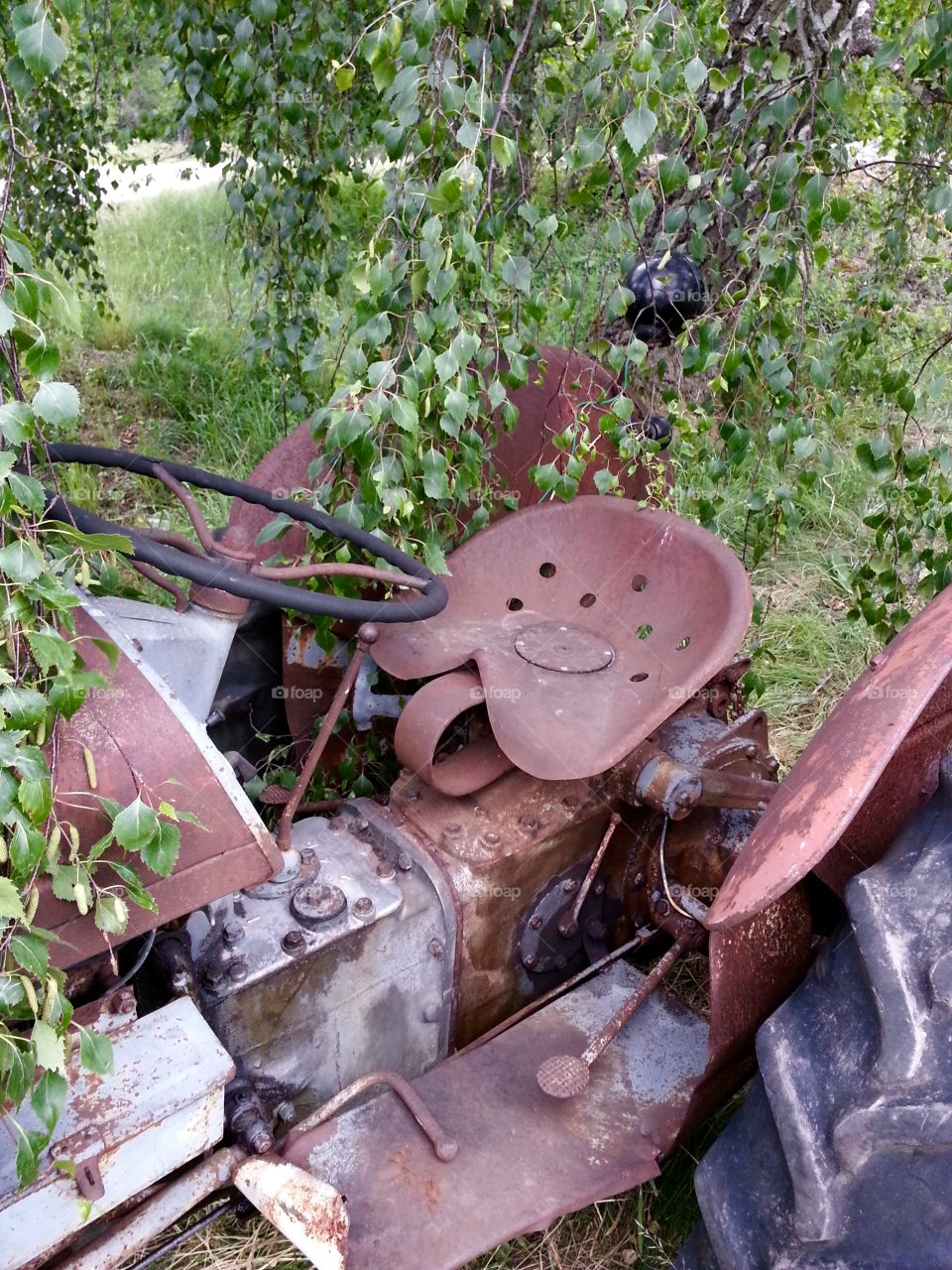 Vintage Ferguson tractor
