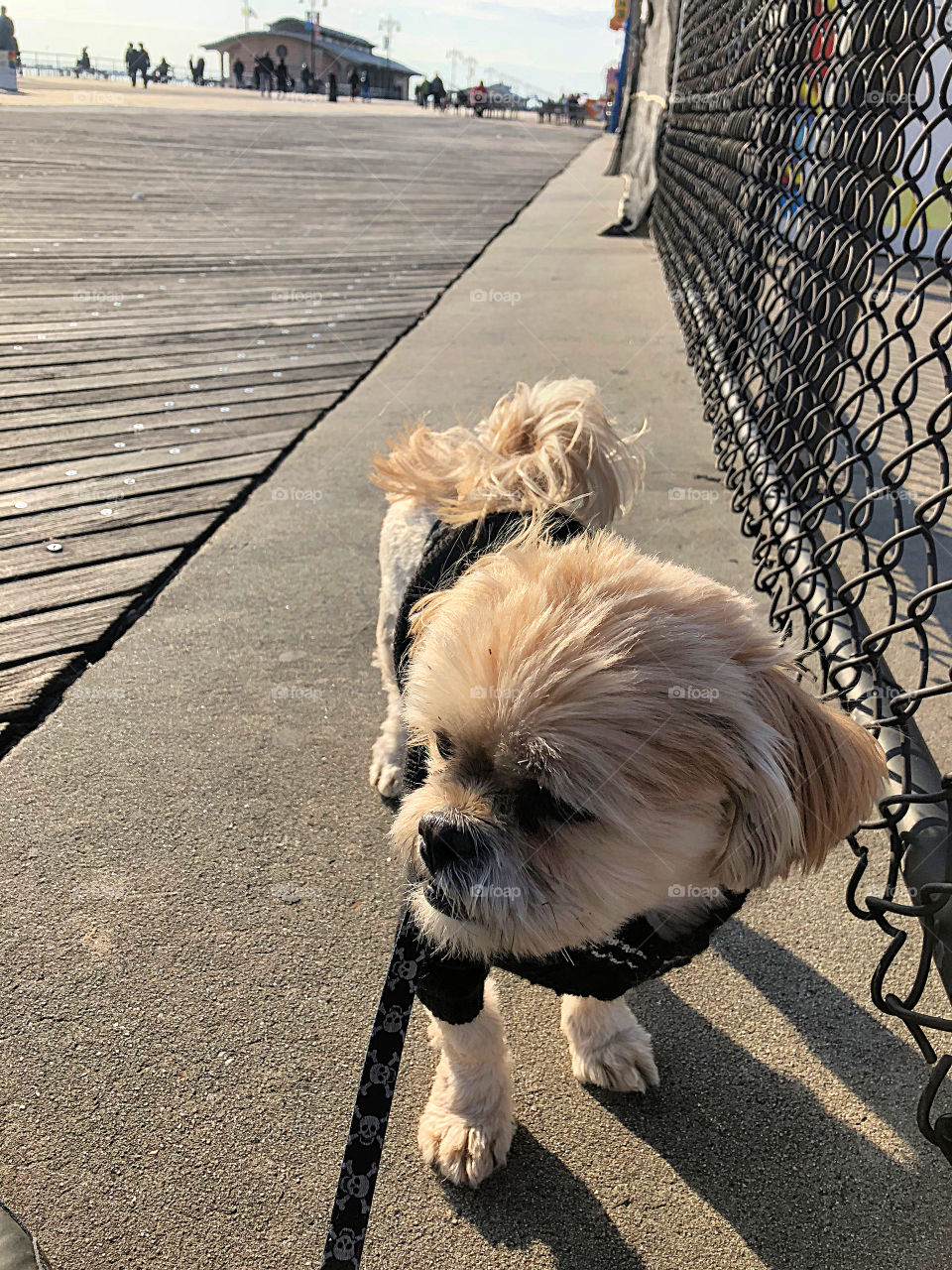 A stroll on Coney Island 