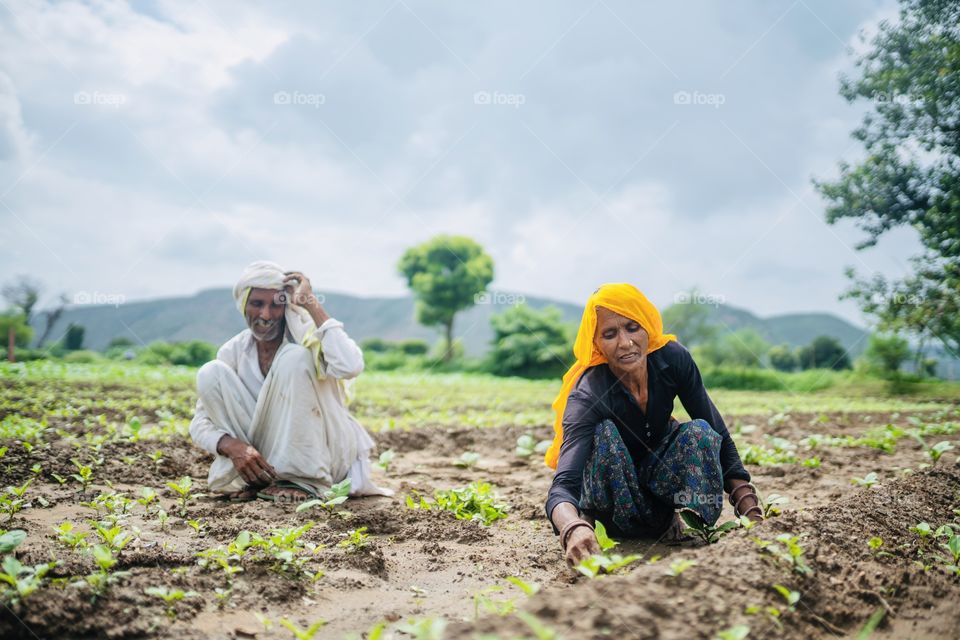 Farmer working in the farm rural image