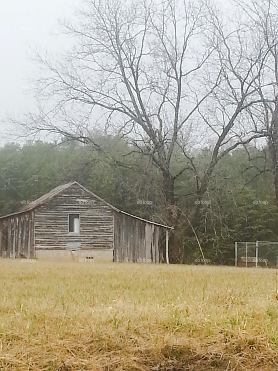 old cabin