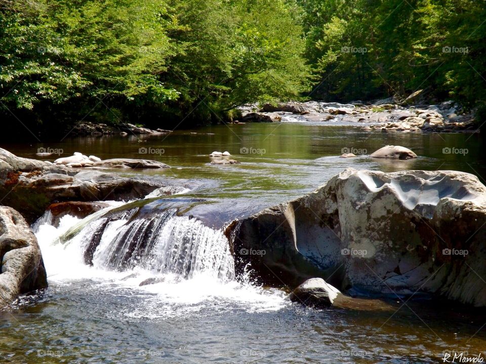Smoky Mountain Creek 