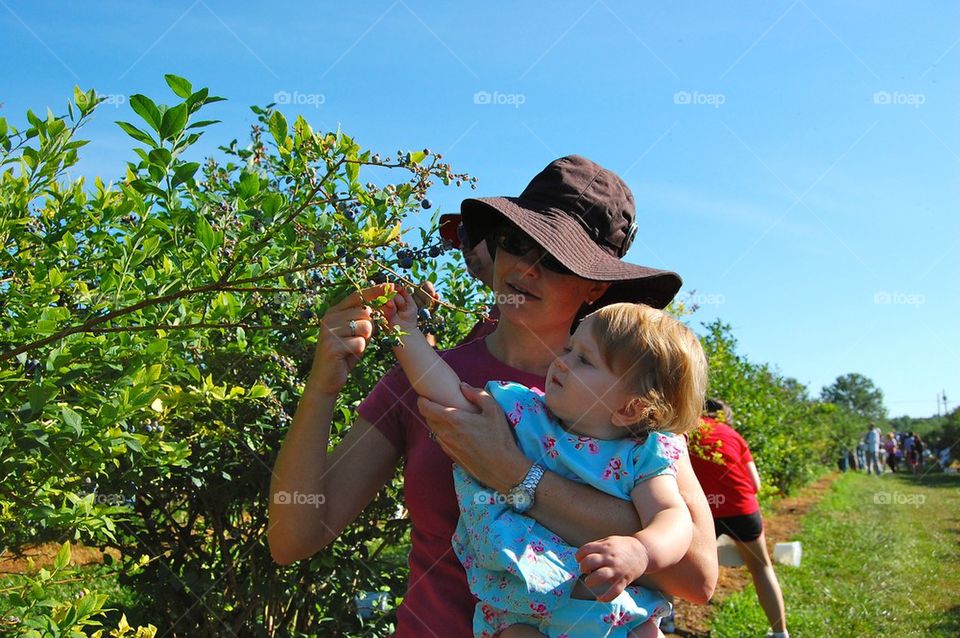 Picking with mama