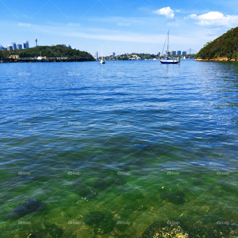 Sydney Harbour