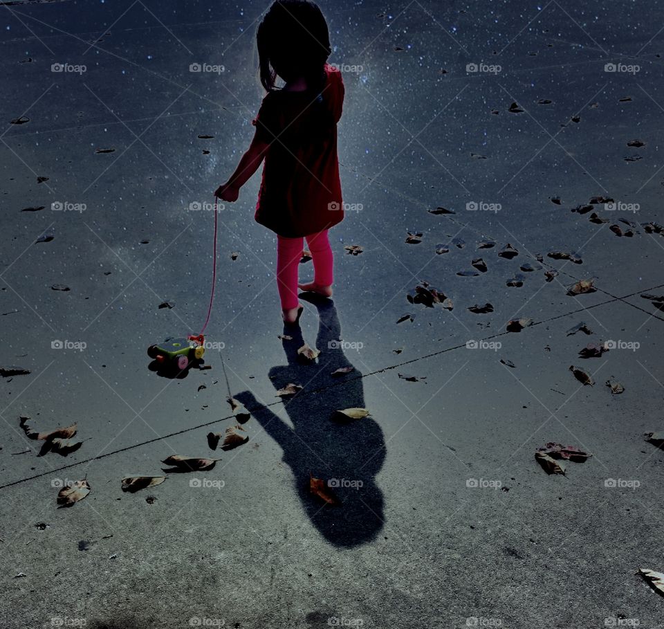 walking the toy turtle