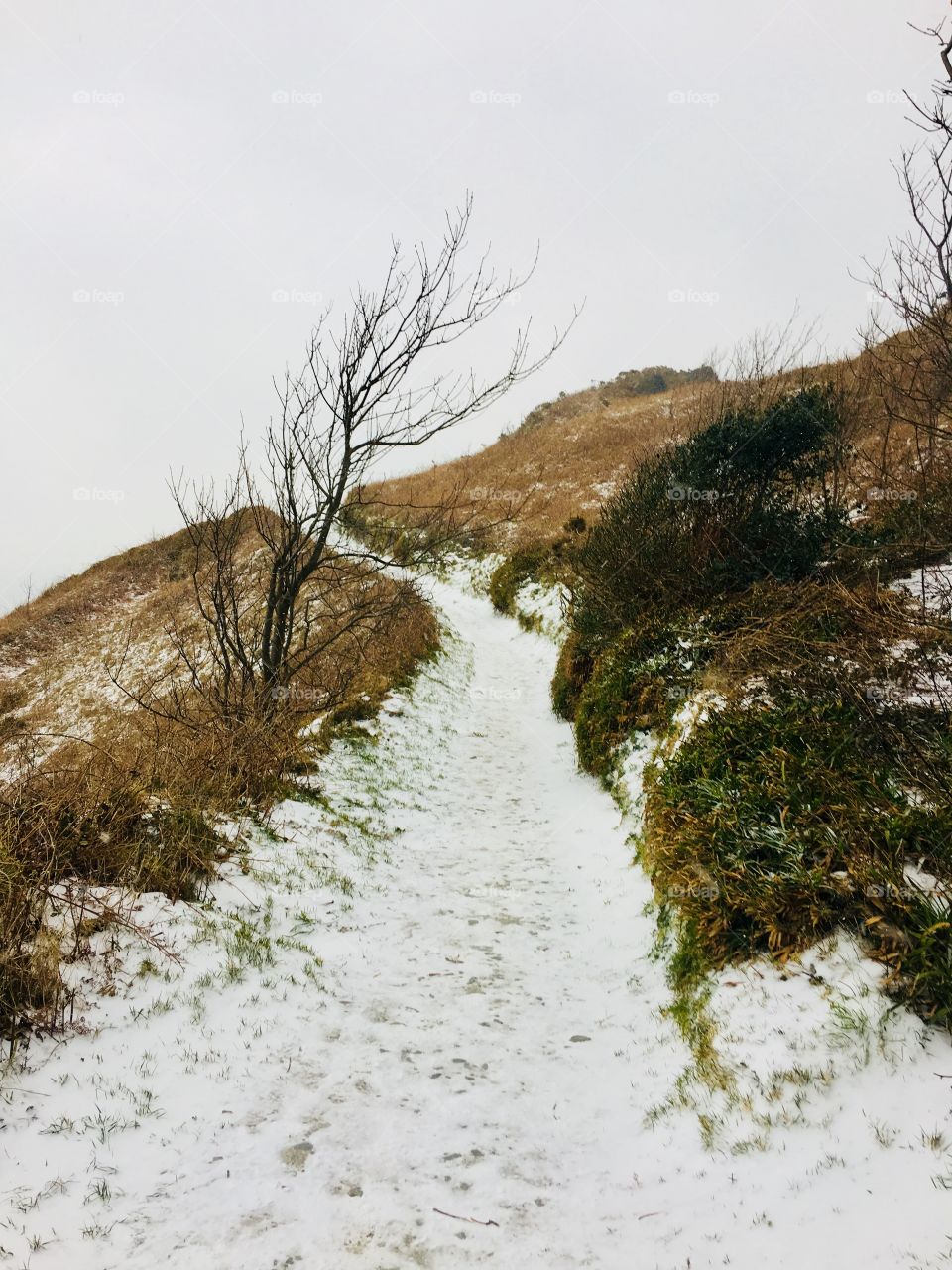 A path can mean so many things and the journey you take can give so many benefits. The colours of Devon, the adventure of hiking and the contrast of nature 
