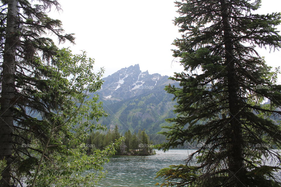 Lake river water mountains Mountain View Scenic woods forest trees outdoors wilderness unedited