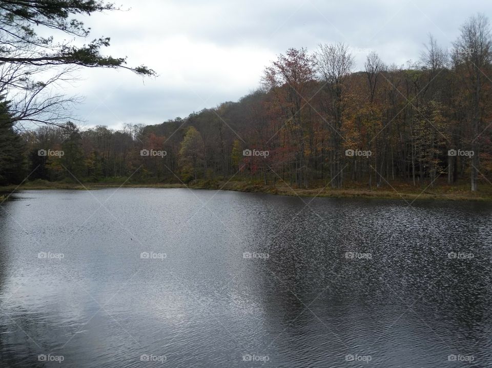 Science Lake at Allegany State Park in the fall