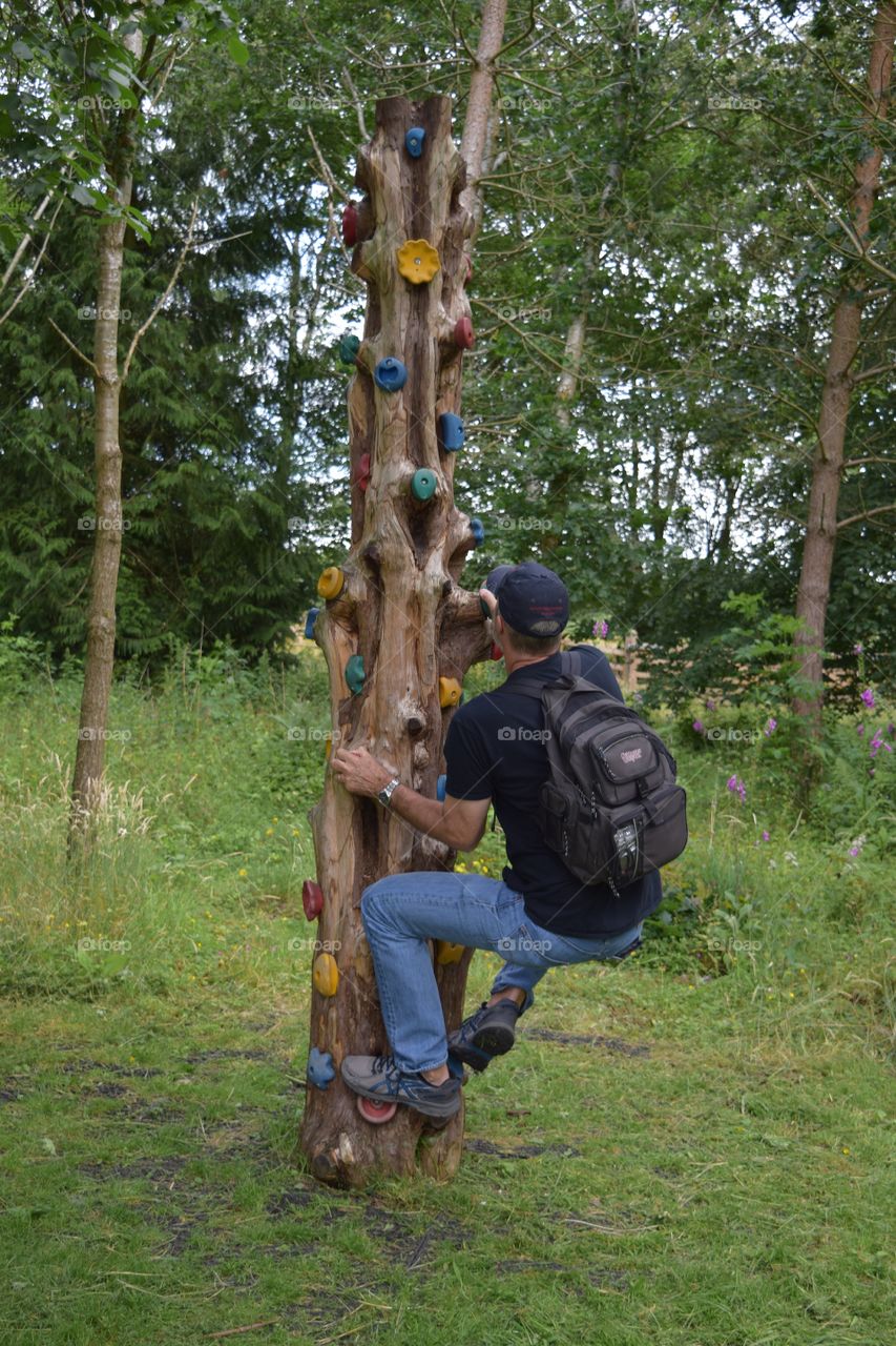 A grown man climbing a tree with climbing steps for kids