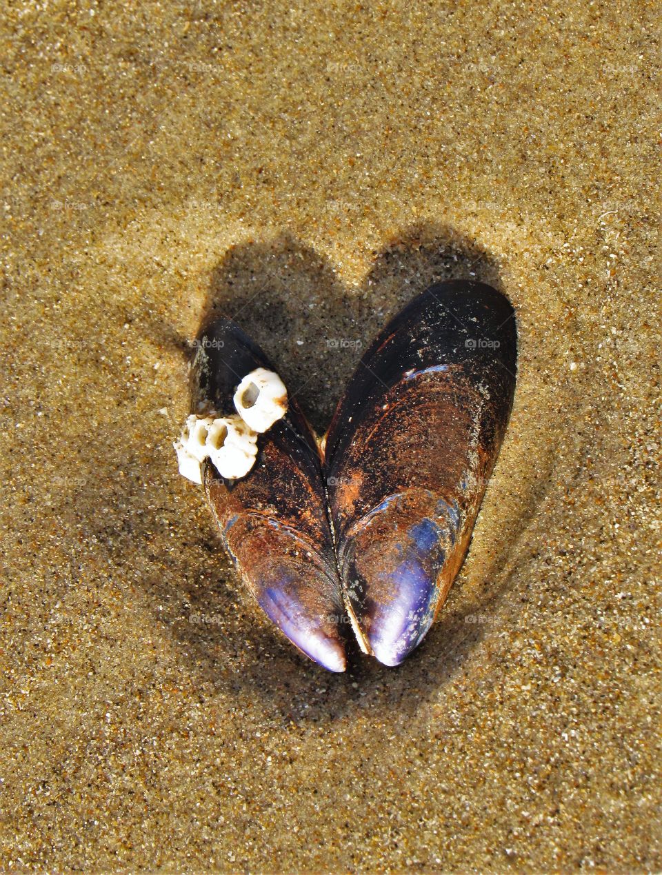 On the beach