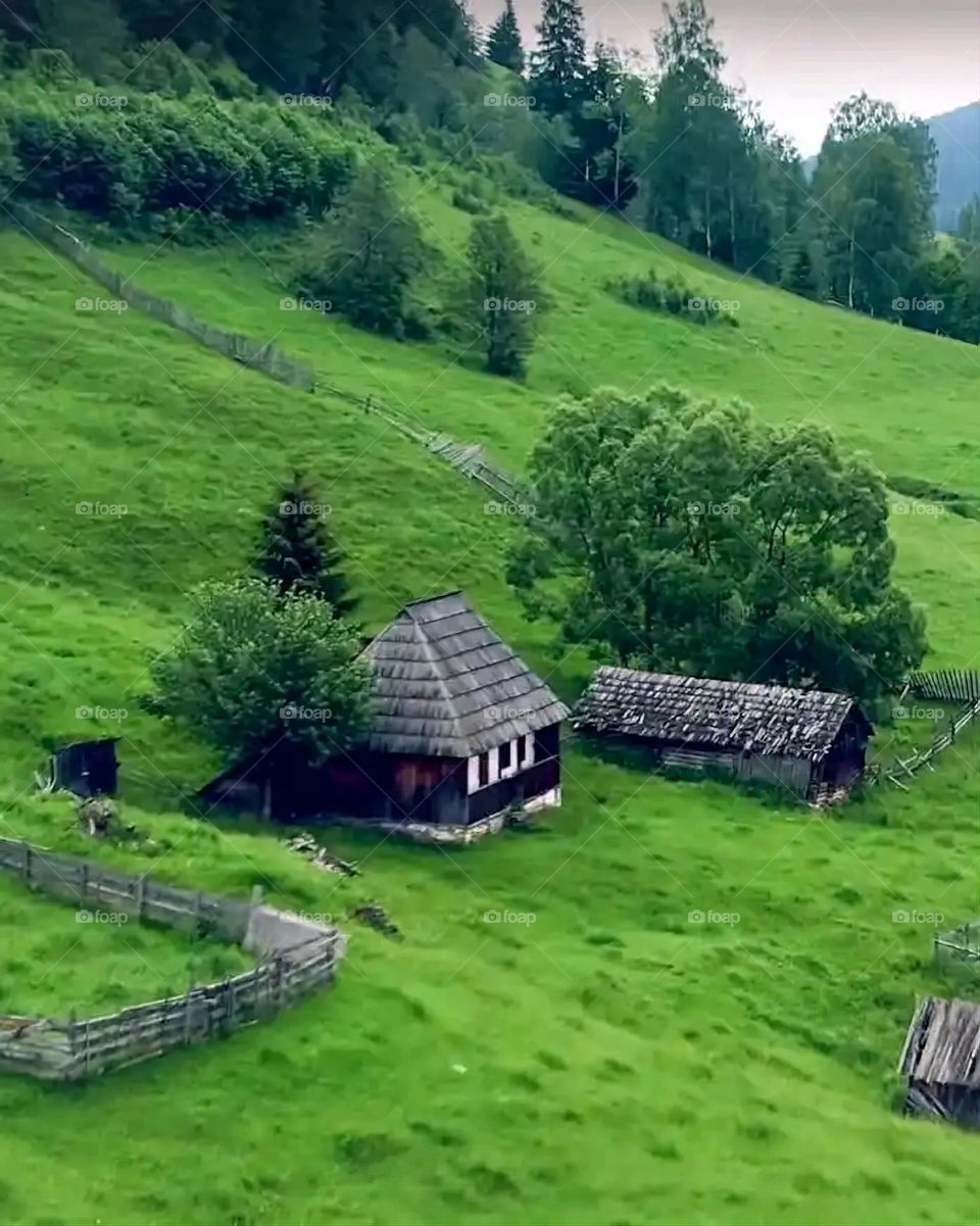 Glory be to God, the magnificent and picturesque view and the natural green trees are a view that is nothing more wonderful than it