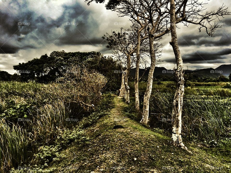 Wicked even though stormy day in Bali...