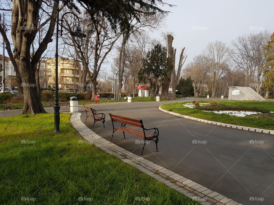 Benches in the sea garden