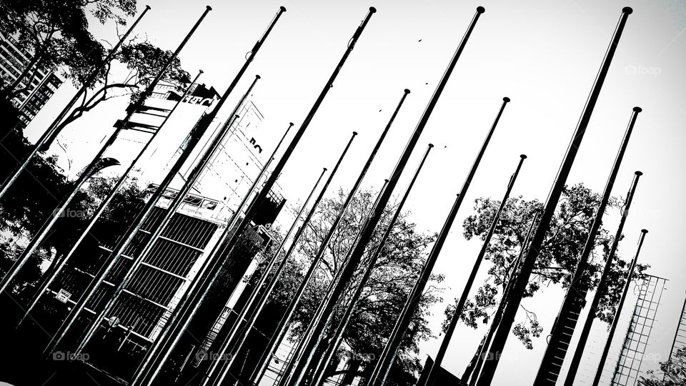Flagpoles along the promenade