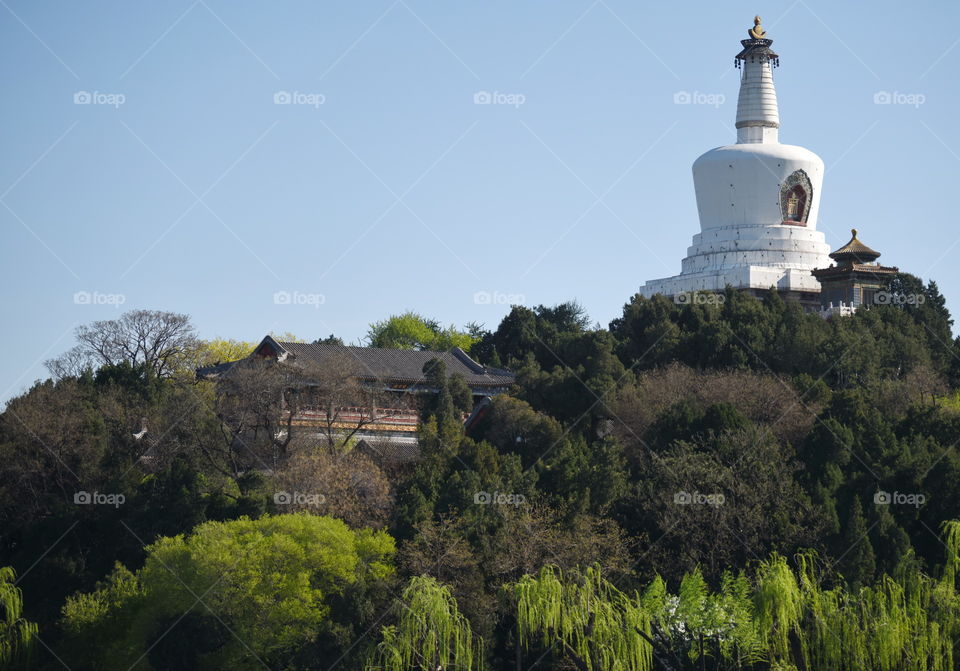 Asia China Beijing Houhai chinese temple in spring blue sky temple park chinese culture by a lake temple garden