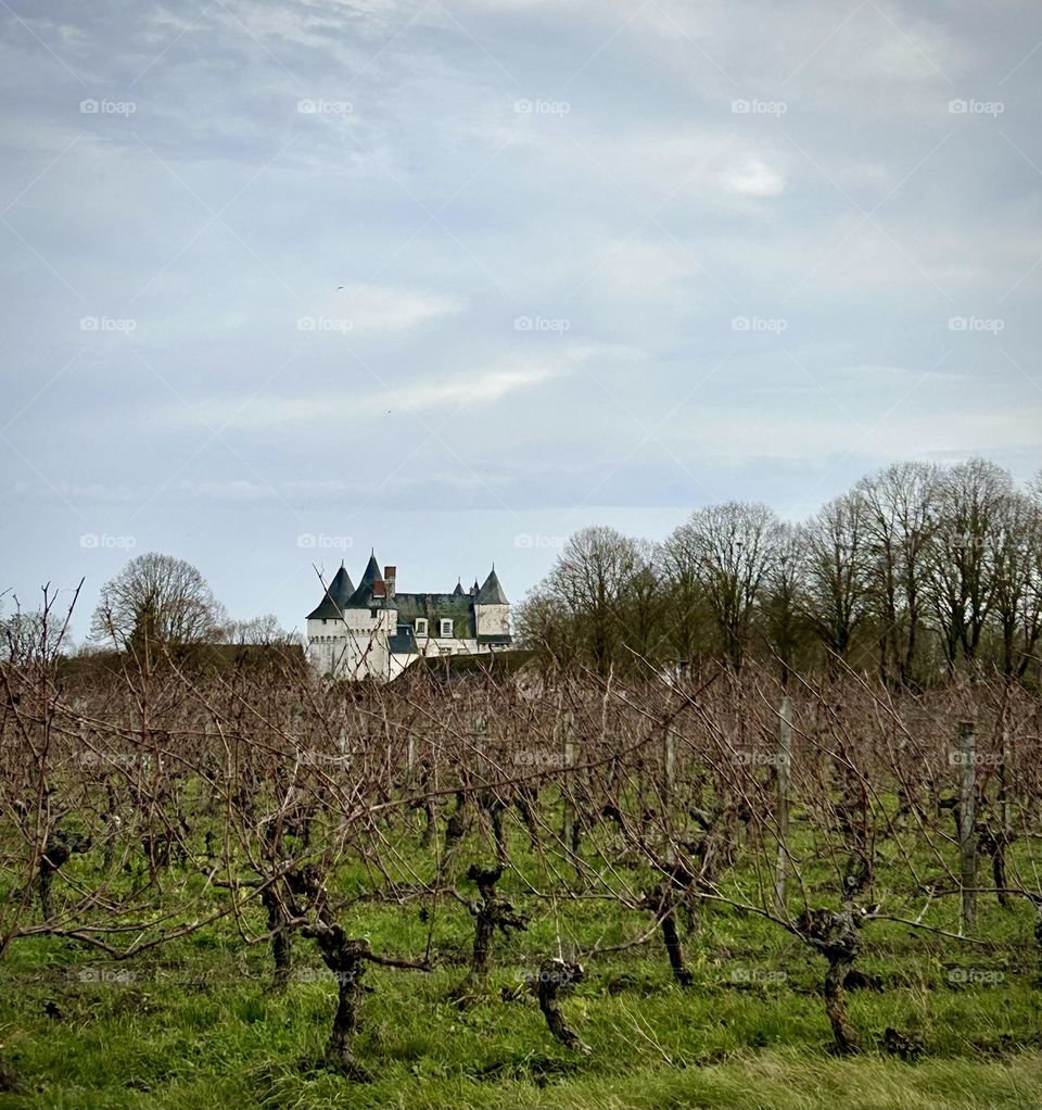 Castle , France Décember 2022 . 