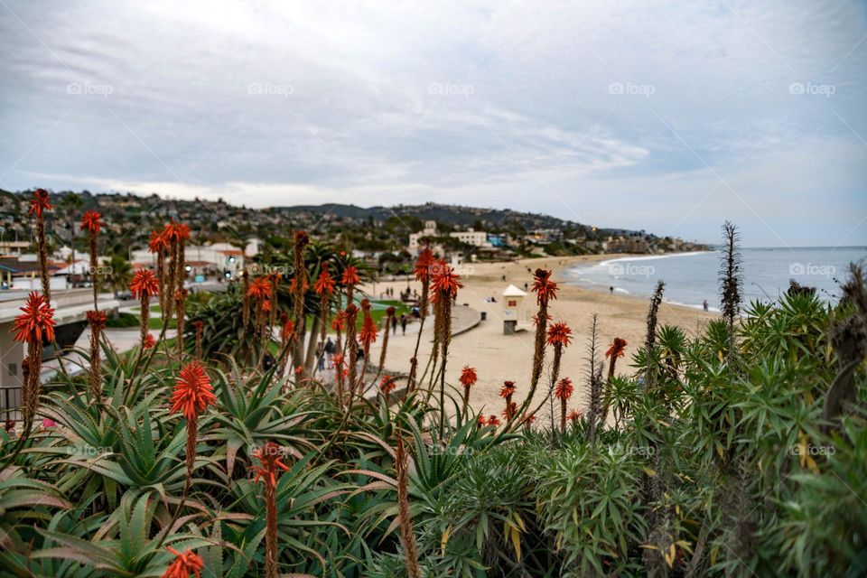 Laguna Beach in California.