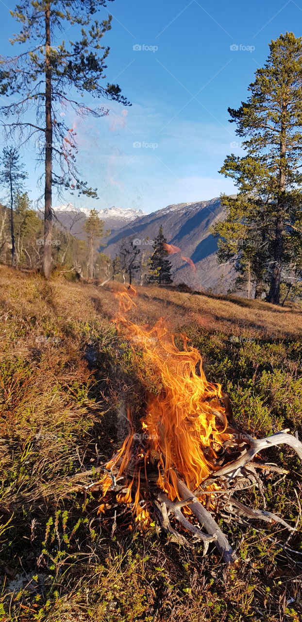 Campfire Norway