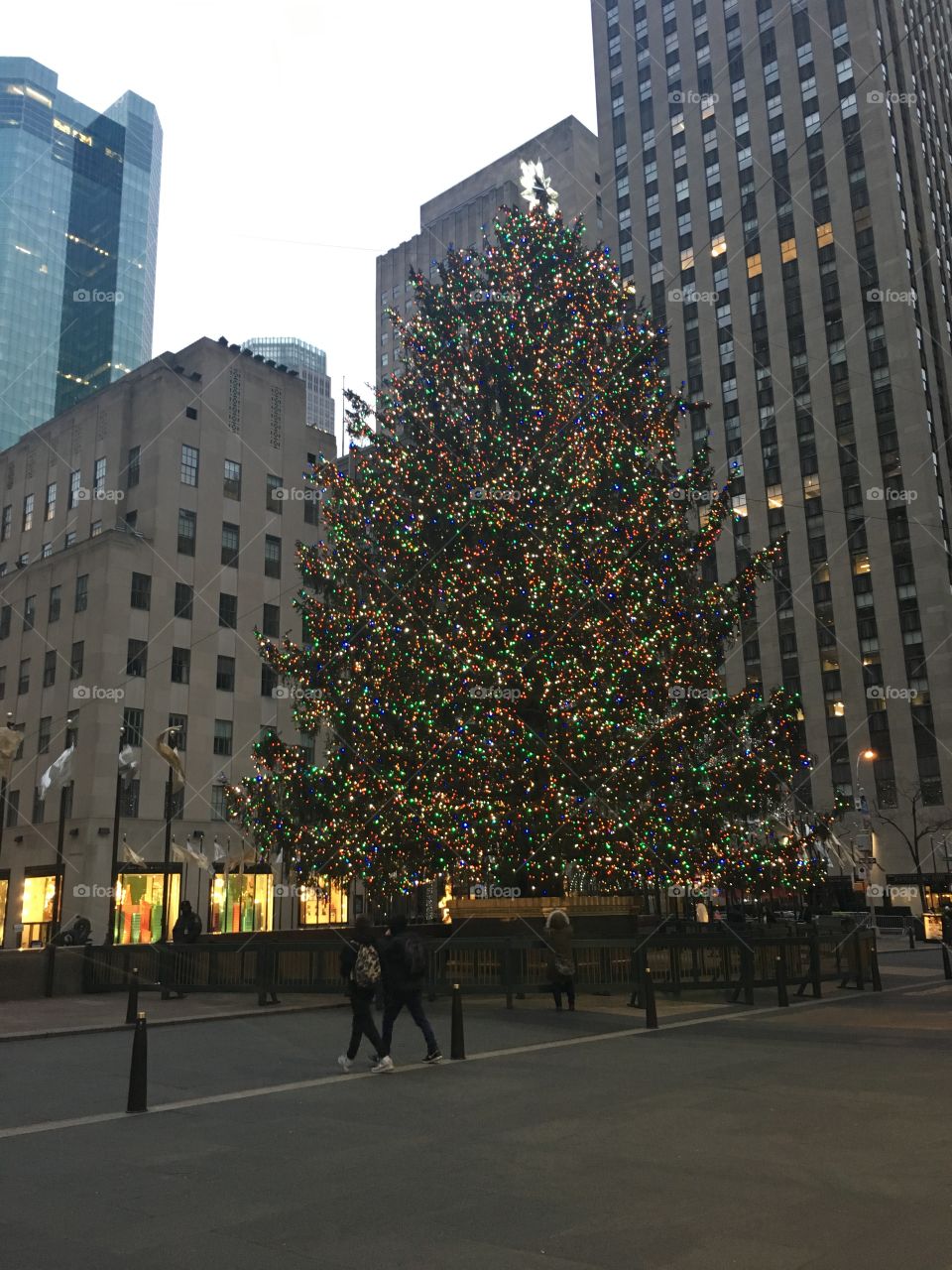 The Rockefeller Christmas tree 🎄 