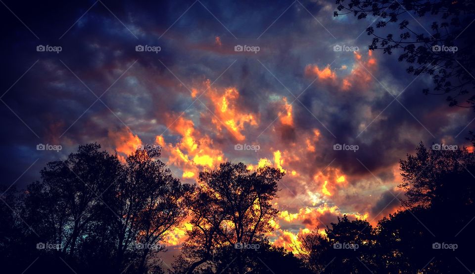 fire sunset